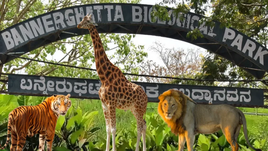 Bannerghatta National Park